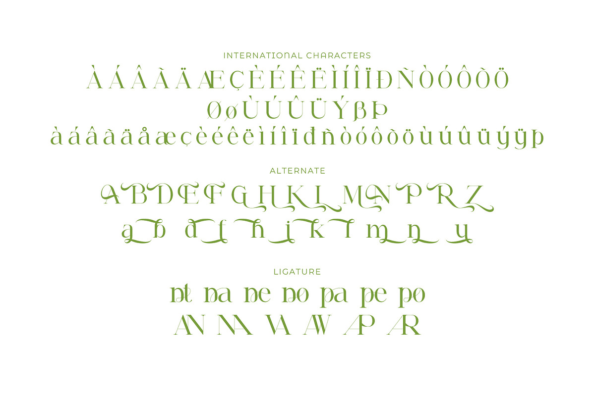 Renabyl - Serif Family Font, a Serif Font by Rishsketch (Photo 14 of 15)