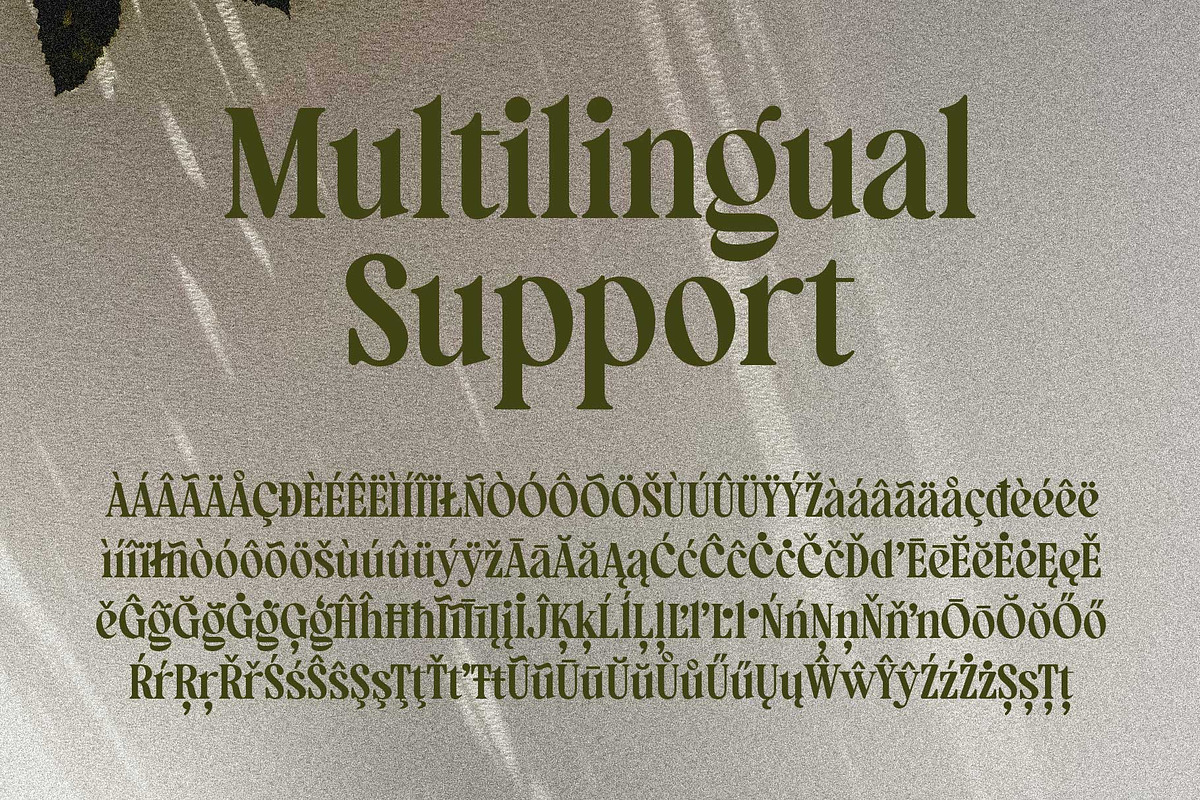 Manshera Romika - Modern Vintage, a Serif Font by Arterfak Project (Photo 15 of 15)