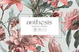 Anthesis, Luxury Print & More!