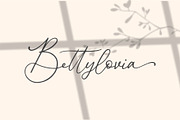 Donatellia Signature, a Script Font by Garisman Std (Thumbnail 9 of 13)