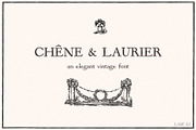 Chene & Laurier Elegant Serif Font, a Serif Font by LABFcreations (Thumbnail 5 of 10)