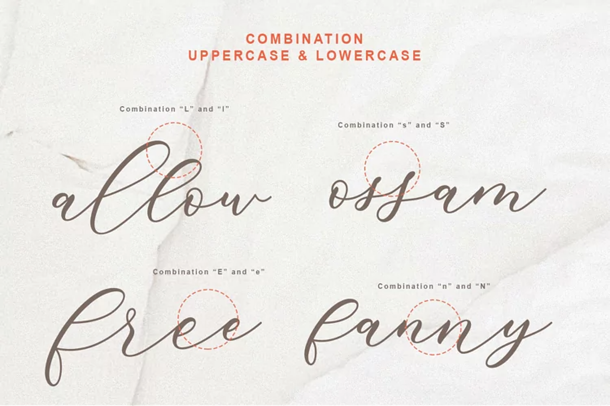 Nadia Script | Lovely Calligraphy, a Script Font by WDfont (Photo 6 of 10)
