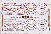 vector SET Winter Forest, an Animal Illustration by WINDmade (Thumbnail 12 of 19)