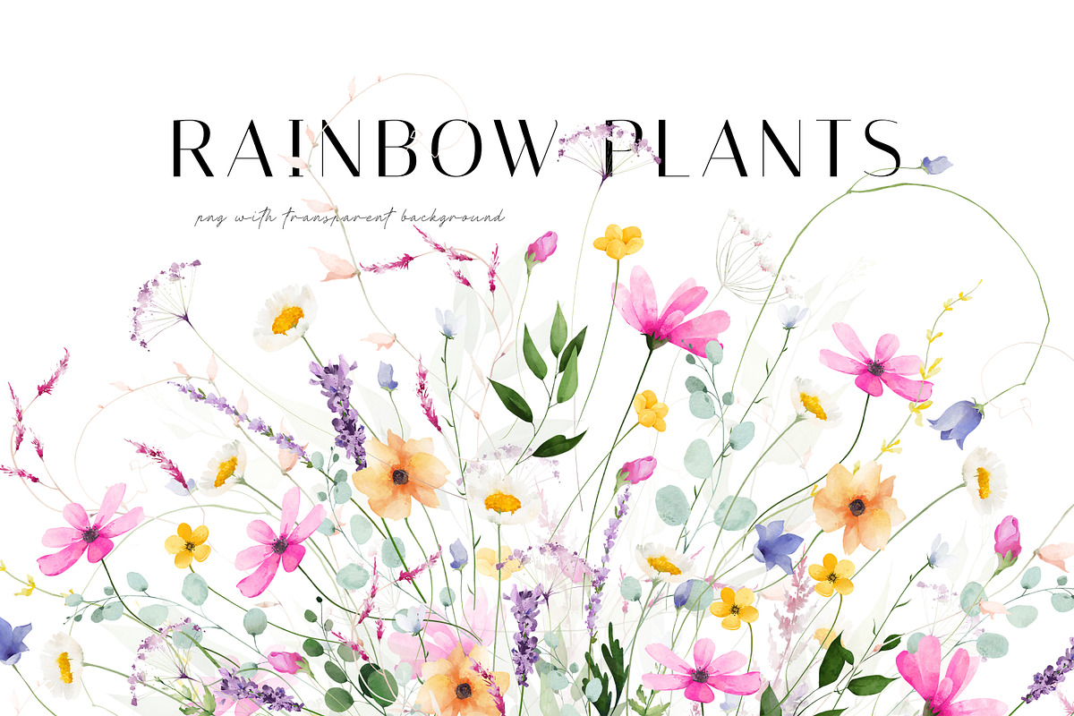 RAINBOW PLANTS bright flower set, a Decorative Illustration by Khrys.art (Photo 1 of 13)