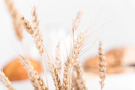 Bread header background featuring baked, bread, and calorie preview 6