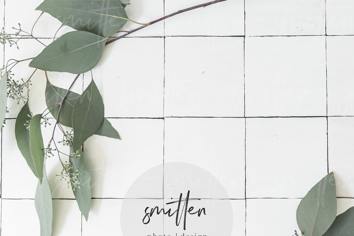 Eucalyptus Stock Photography, a Print Template by Smitten Photo & Design (Photo 2 of 3)