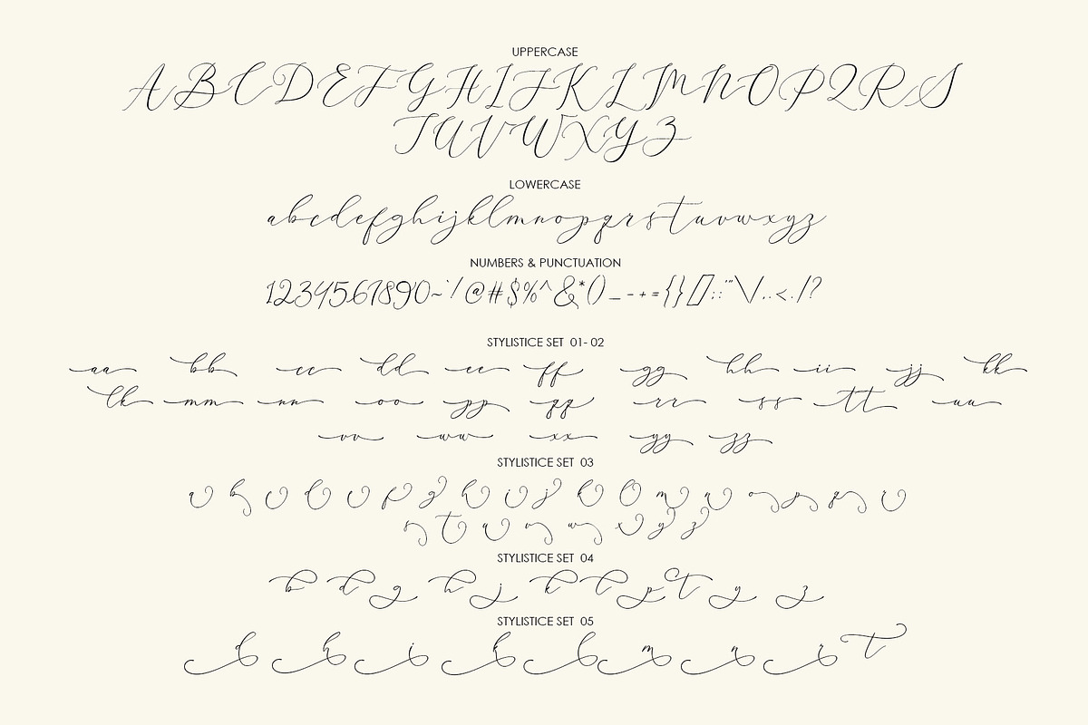 Amber Dishonest, a Script Font by moriztype (Photo 10 of 10)