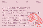 CS Lindens Disco, a Sans Serif Font by Craft Supply Co. (Thumbnail 8 of 8)