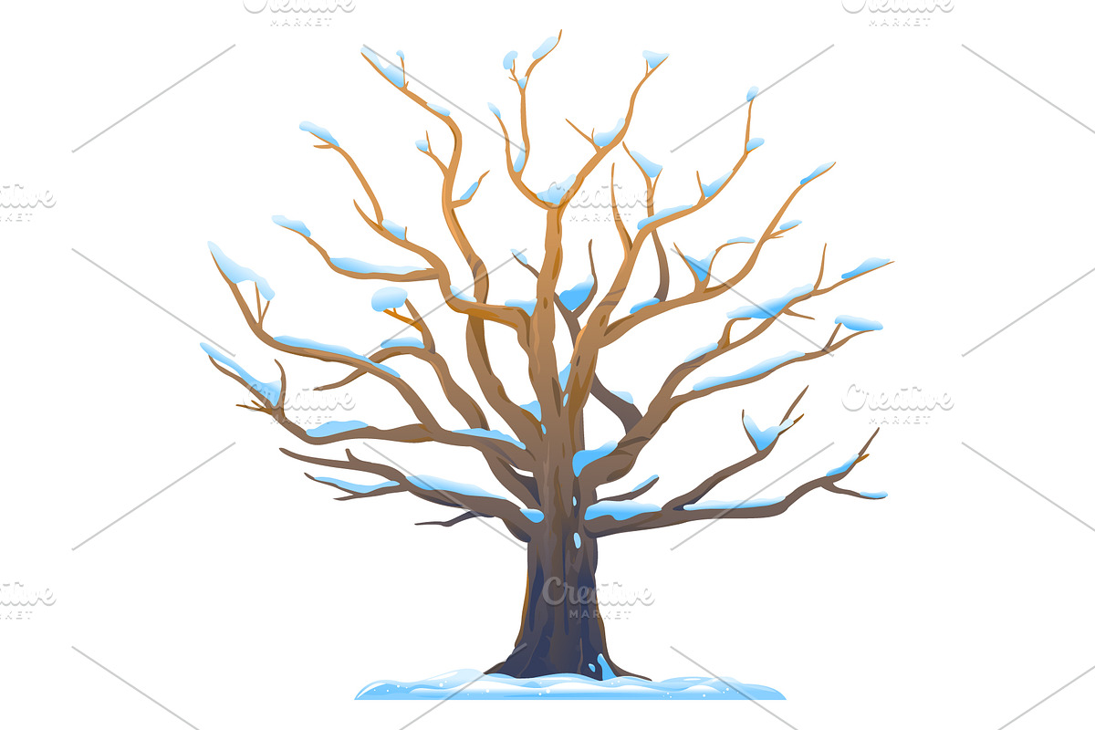 Set of oak tree in four seasons, an Illustration by Oceloti (Photo 2 of 5)
