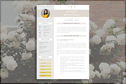 2 Page CV Template, a Resume Template by introDuice - CV / Resumes (Thumbnail 1 of 8)