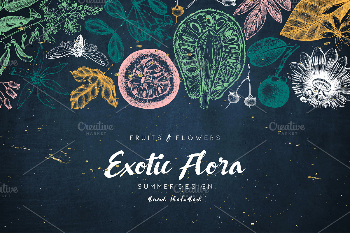 Exotic Plants Vector Collection, a Seasonal Illustration by Yevheniia (Photo 1 of 6)