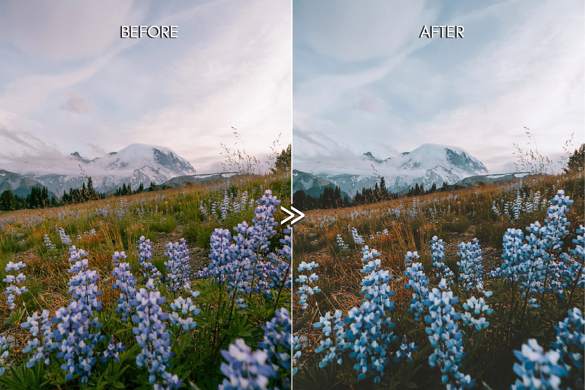 Moody Matte Outdoor Travel Presets, an Action Add-On by CityTurtles (Photo 2 of 13)