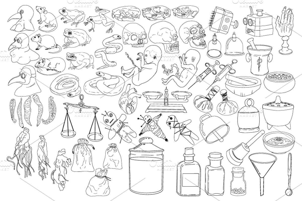 Apothecary & Curiosities vector, an Object Illustration by Elena Mykhailenko (Photo 2 of 7)
