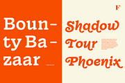 Wonder, a Serif Font by Fenotype (Thumbnail 7 of 15)