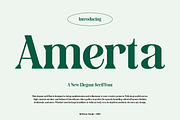 Amerta Elegant Serif Font, a Serif Font by GRVS Studio (Thumbnail 1 of 7)