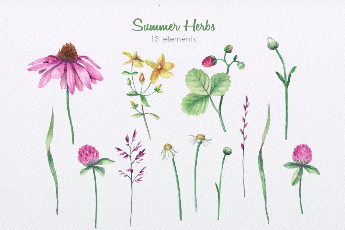 Summer Herbs, an Illustration by oKOLOstyle (Photo 3 of 5)