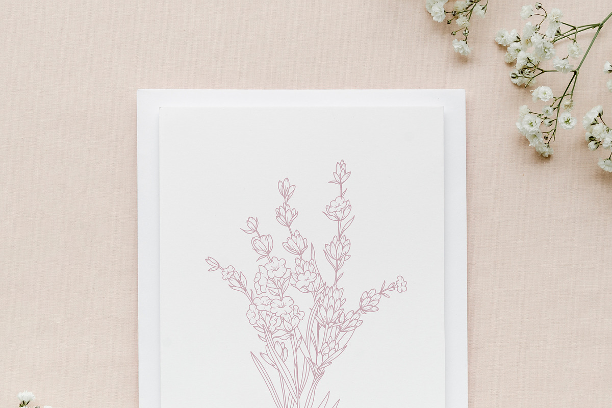 Lavender Line Art, a Decorative Illustration by CaraulanStore (Photo 5 of 8)
