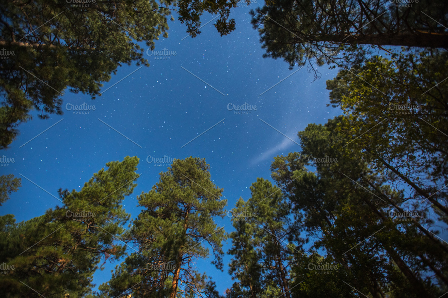 Sedona Starry Night, a Nature Photo by Mr Geoff