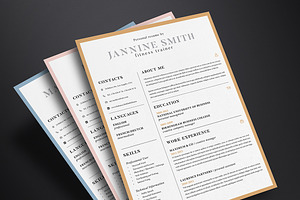 Clean Resume Template Vol.4