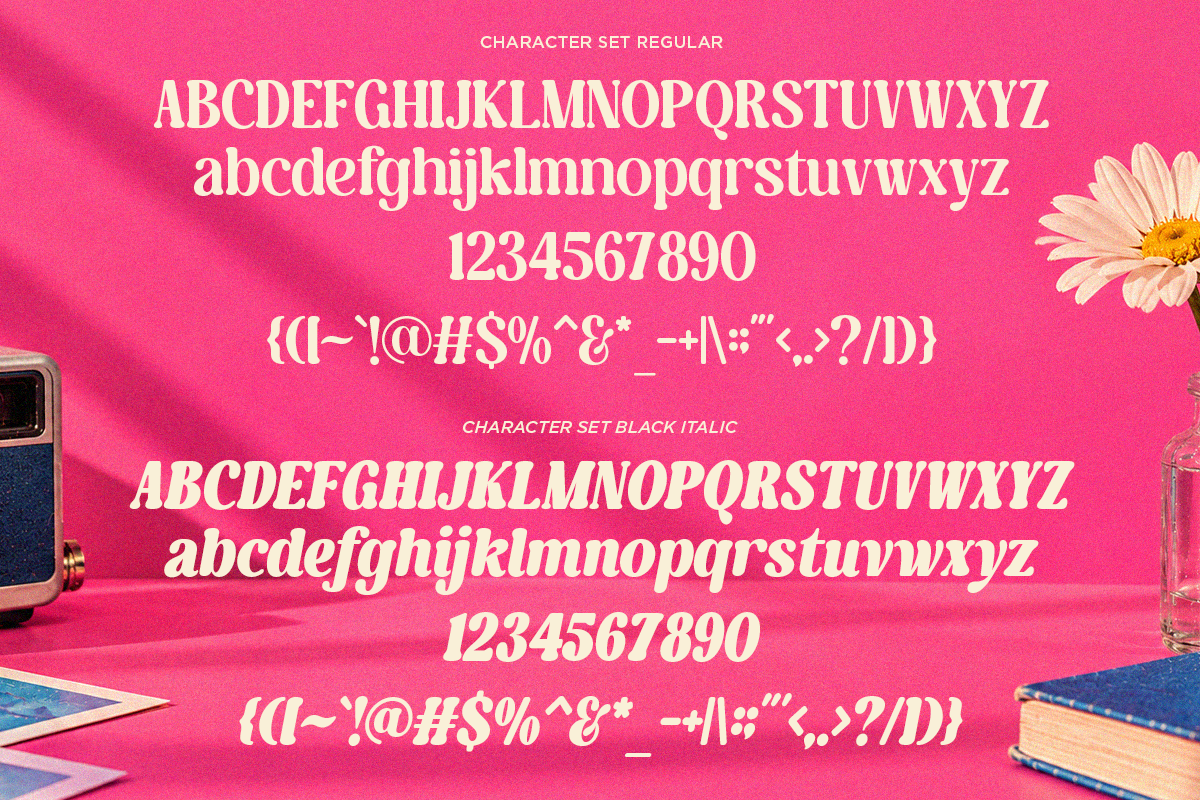 Gently Retro - Family Retro Serif, a Serif Font by Say Studio (Photo 10 of 10)