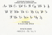 Autography, a Handwritten Font by FreshTypeINK (Thumbnail 5 of 8)