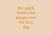 Phaedra // A Retro Serif Typeface, a Serif Font by Megs Lang (Thumbnail 8 of 17)