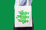Agorey Dalling Groovy Retro Serif, a Serif Font by timelesstype.co (Thumbnail 8 of 20)