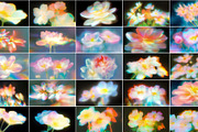 Mystic Haze: Floral Blur Backgrounds, a Background Graphic by Anzhelika (Thumbnail 9 of 12)
