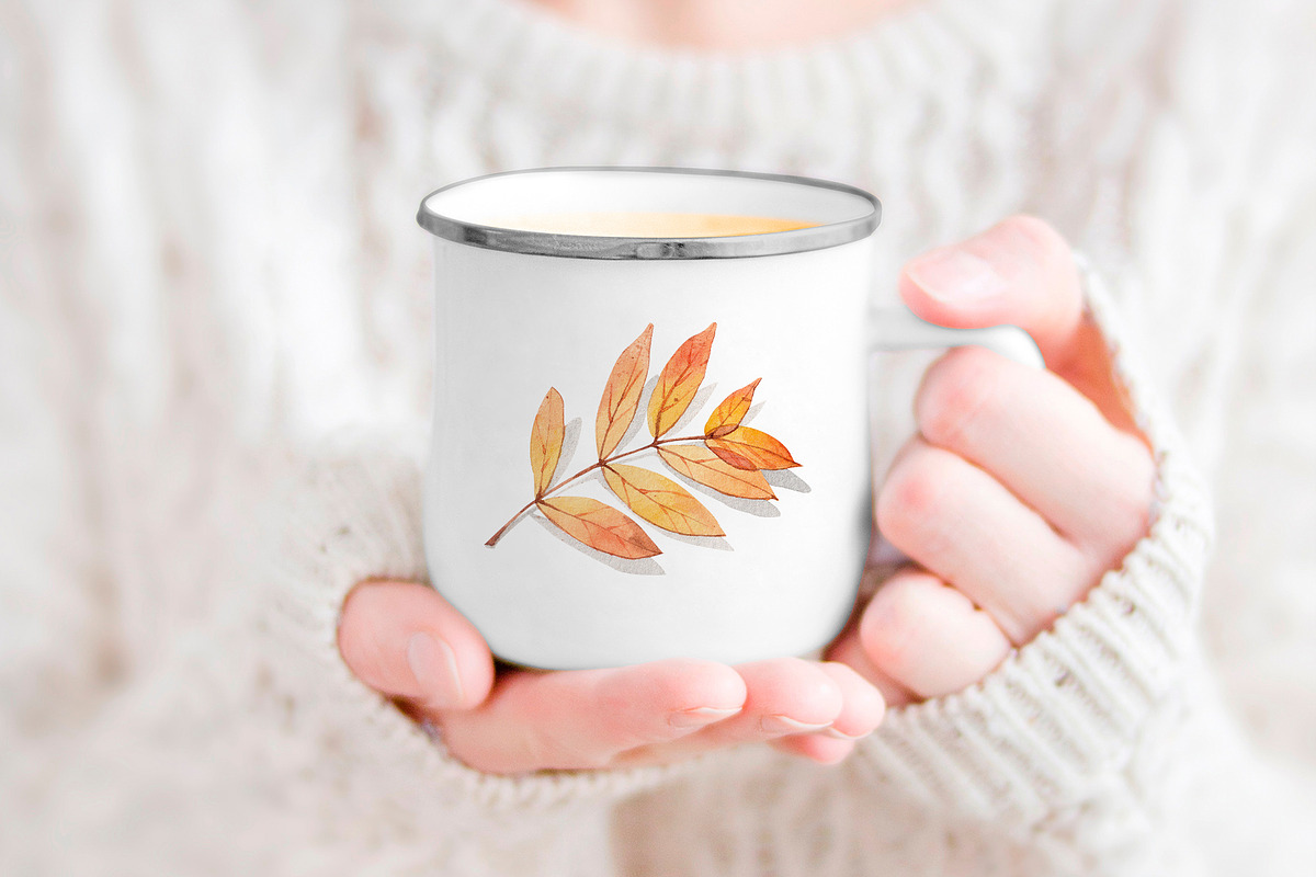 Autumn leaves. Watercolor clipart, an Illustration by VerAna (Photo 5 of 8)