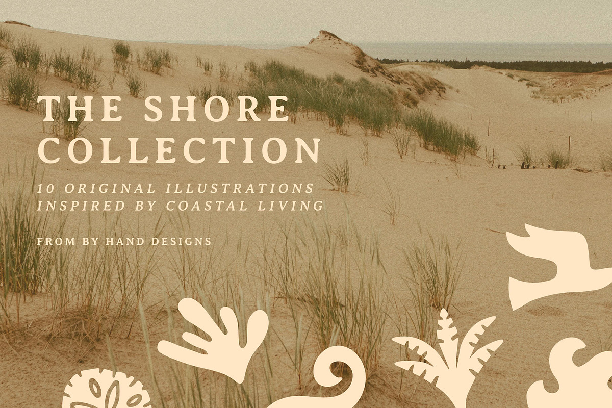 The Shore Illustration Set, a Decorative Illustration by By Hand Designs (Photo 1 of 7)
