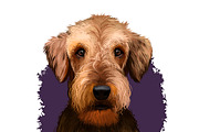 Popular Dog Breeds in World Pets Set, an Illustration by Dneprstock (Thumbnail 2 of 4)