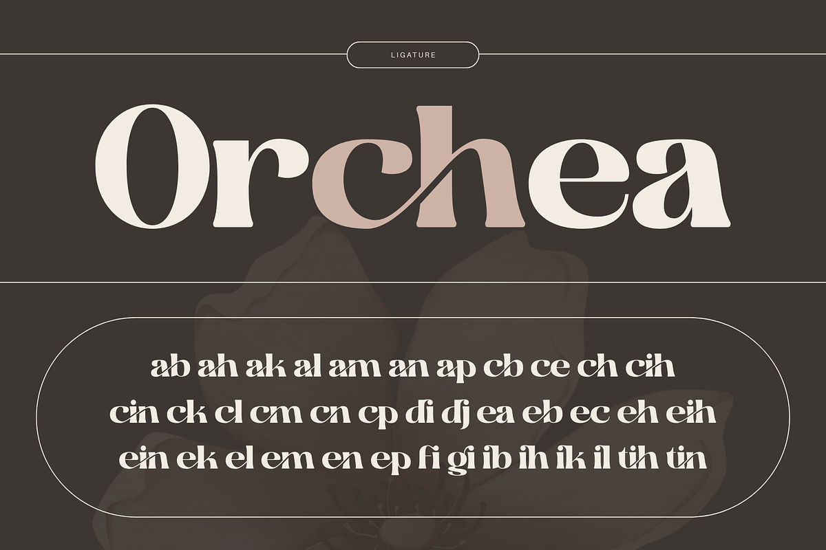 Martina Retro - Branding Logo Font, a Serif Font by Nirmana Visual (Photo 7 of 12)