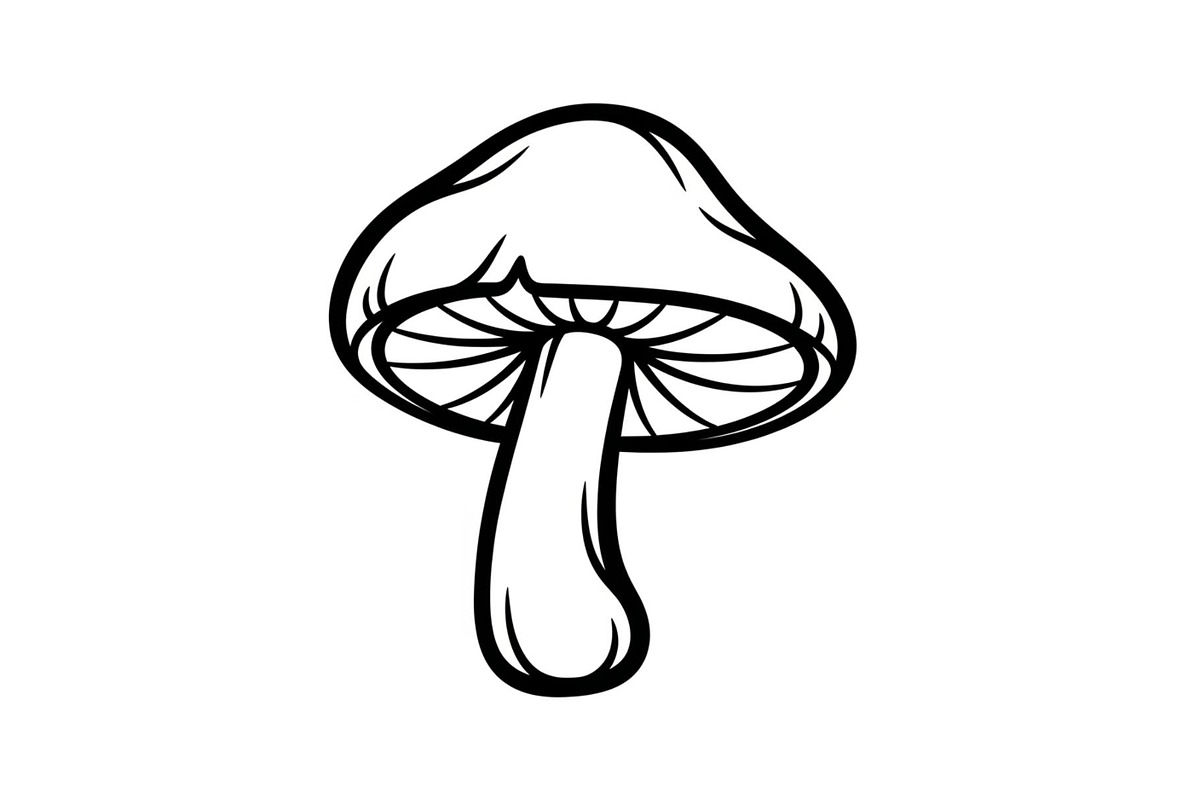 Hand Drawn Mushroom SVG Bundle, an Illustration by jahid234 (Photo 22 of 51)
