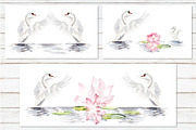 Watercolor swans, an Animal Illustration by Budogoshch (Thumbnail 4 of 8)