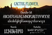 Cactus Flower, a Serif Font by Kelly Fisher Designs (Thumbnail 2 of 5)