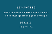 Dustwood Bold Serif Typeface, a Serif Font by RT Studio (Thumbnail 4 of 12)