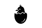 Cute Easter Chick Hatch Vector Bundl, an Illustration by jahid234 (Thumbnail 35 of 51)