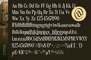 Magice Berries A New Modern Serif, a Serif Font by AmorfaType (Thumbnail 10 of 10)