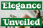 Parfect Silent Modern Bold Serif, a Serif Font by timelesstype.co (Thumbnail 15 of 20)
