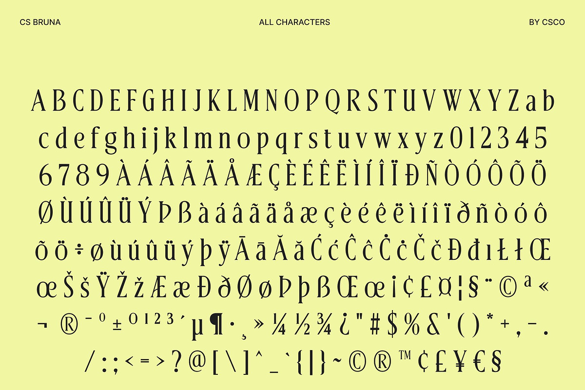 CS Bruna – Contemporary Font, a Serif Font by Craft Supply Co. (Photo 8 of 8)