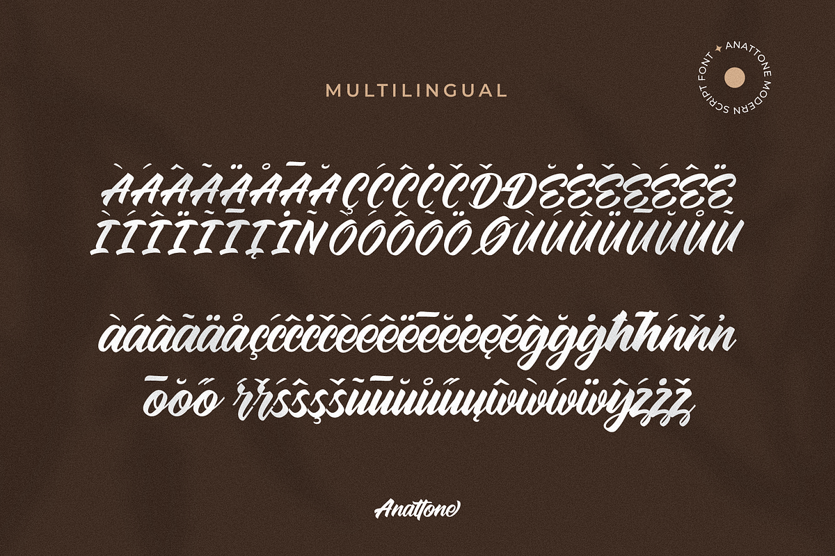 Anattone - Modern Script Font, a Script Font by Lettermine (Photo 8 of 9)
