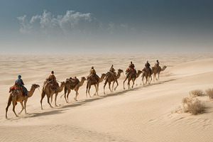 Camel Caravan Crossing Sahara Desert, a Photo by Pixeness Studio