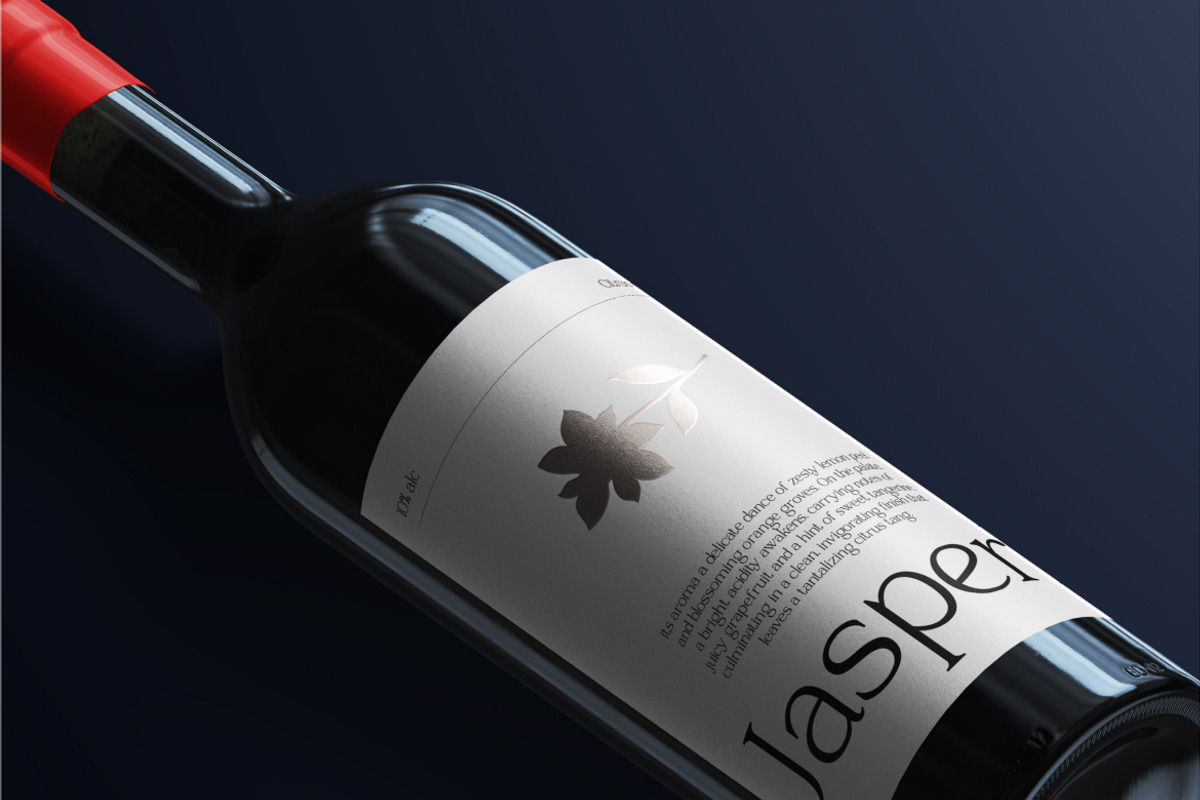Raveny Modern Elegant Serif, a Serif Font by Vadovastd (Photo 5 of 9)