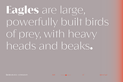 Águila, a Sans Serif Font by Latinotype (Thumbnail 12 of 15)