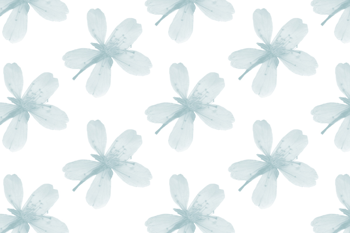 Pressed Flowers Photoshop Brushes, a Brush Add-On by Little Bean (Photo 4 of 6)