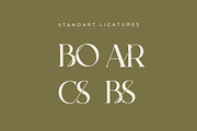 Bodar Serif Display Font, a Serif Font by UICreative (Thumbnail 2 of 5)