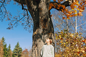 Teenage girl under maple tree, a Nature Photo by BOOCYS