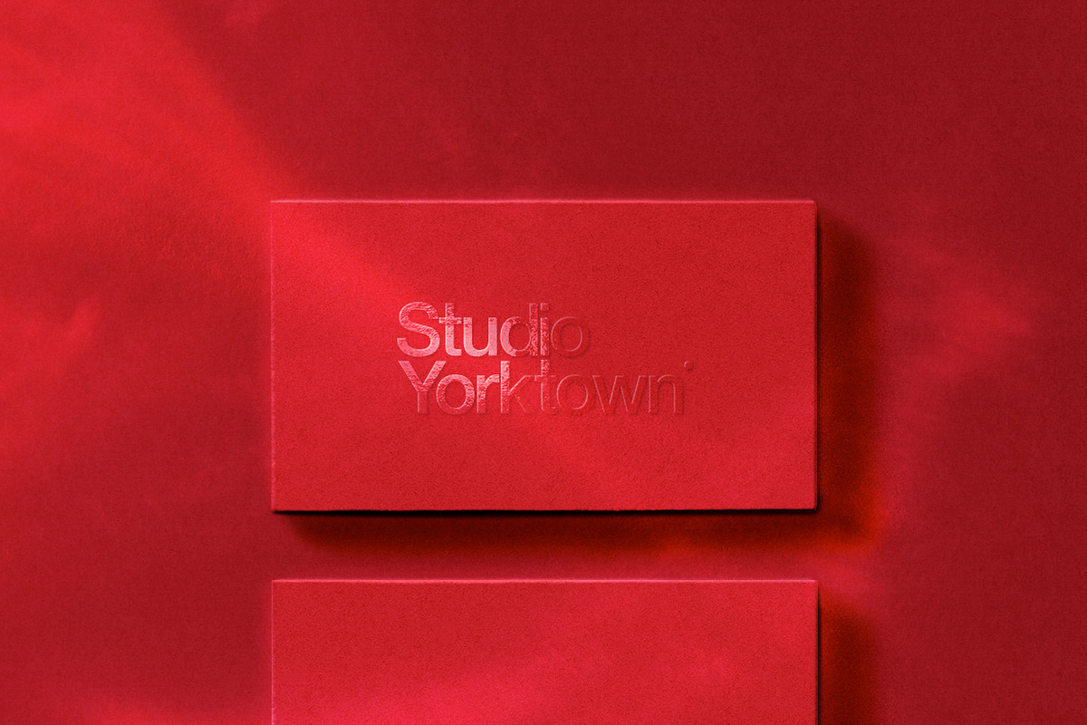 Mikado Business Card Mockup Template, a Mockup by Studio Yorktown (Photo 11 of 14)