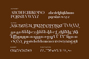 Qid Bronste Elegant Serif, a Serif Font by Perfectype (Thumbnail 8 of 9)