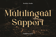 Aesthetiva - Elegant Serif Font, a Serif Font by RockboyStd (Thumbnail 10 of 12)